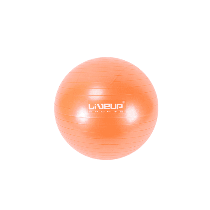 LiveUp Anti Burst Gym Ball 65cm-Ls3222