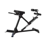 Nanza hyper extension for lower back workout glutes workout